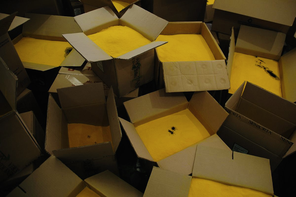 pablovargaslugo_laborgaleria_mahg_artproduction_valenzuelaproductora